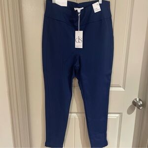 DS Women's Classic Blue Skinny Pants